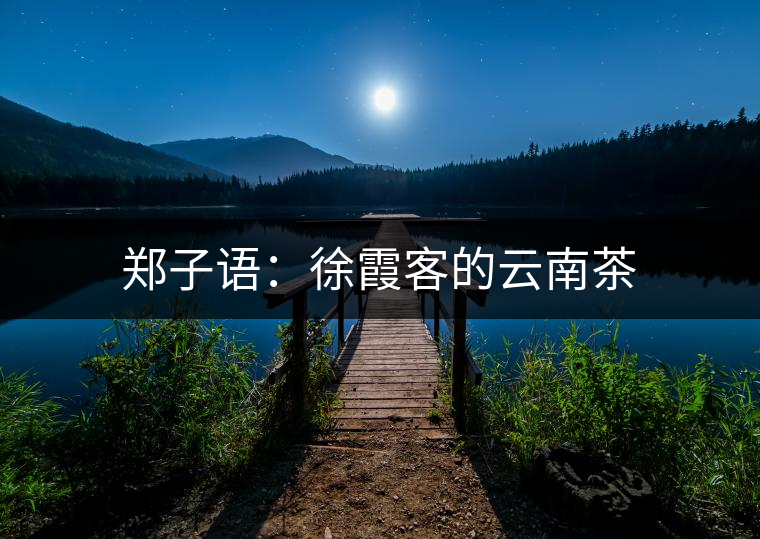 鄭子語：徐霞客的云南茶