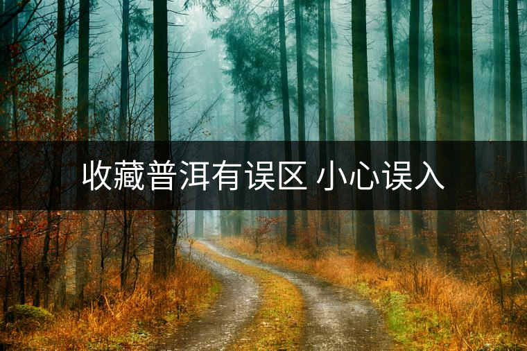 收藏普洱有誤區(qū) 小心誤入