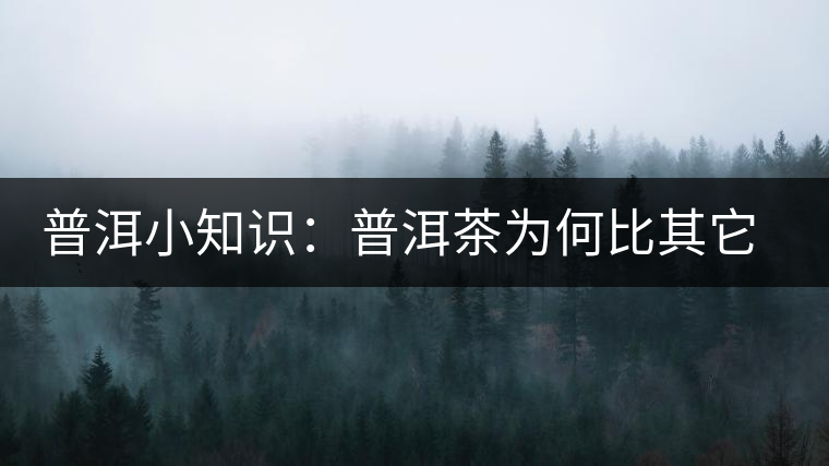 普洱小知識：普洱茶為何比其它茶葉耐泡？