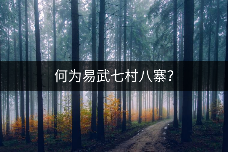 何為易武七村八寨？