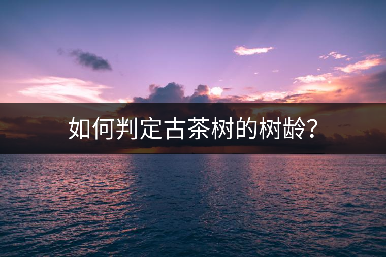 如何判定古茶樹(shù)的樹(shù)齡？