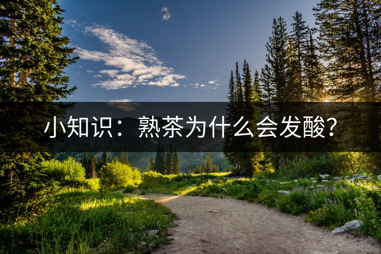 小知識(shí)：熟茶為什么會(huì)發(fā)酸？