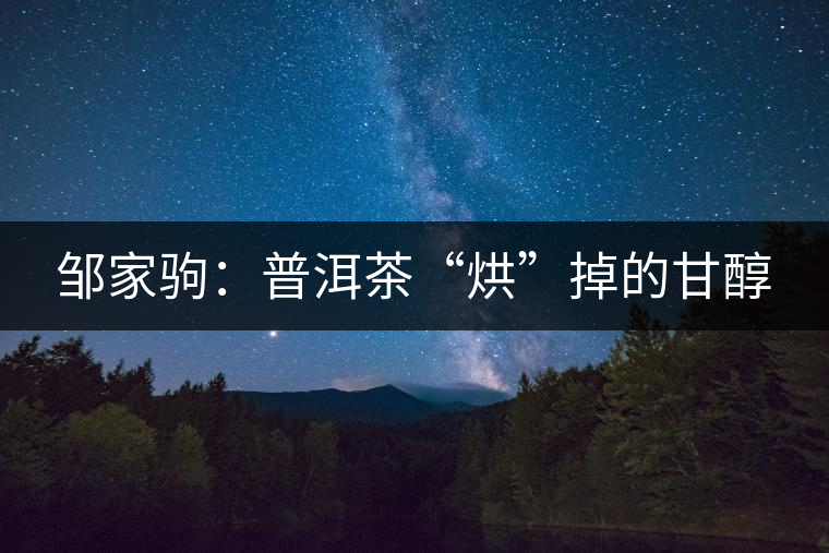 鄒家駒：普洱茶“烘”掉的甘醇