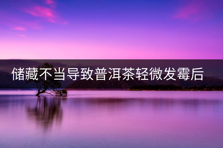 儲藏不當導致普洱茶輕微發(fā)霉后如何處理？
