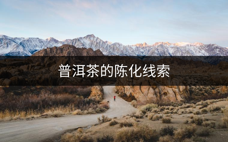 普洱茶的陳化線索