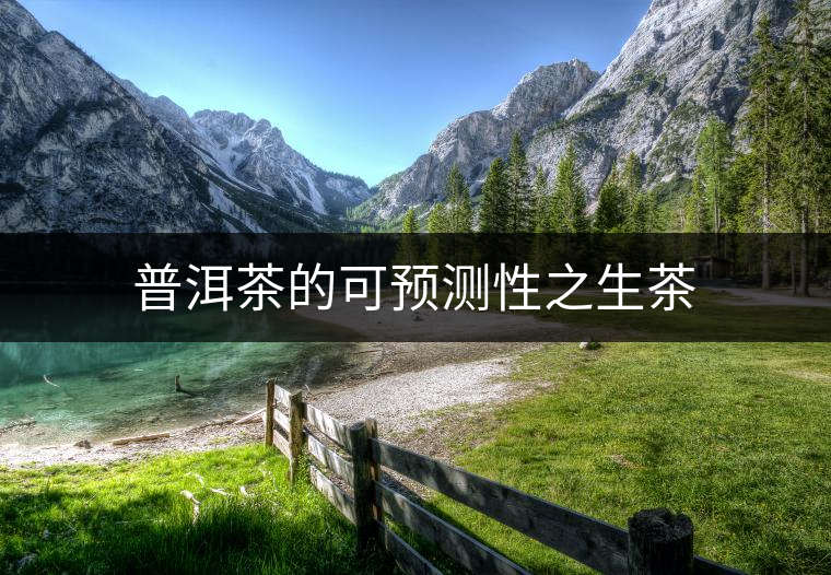 普洱茶的可預測性之生茶 普洱茶的可預測性之生茶