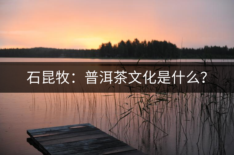 石昆牧：普洱茶文化是什么？