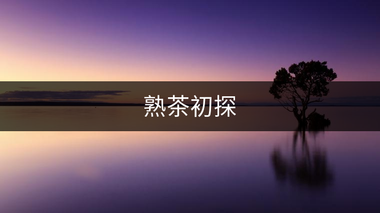 熟茶初探