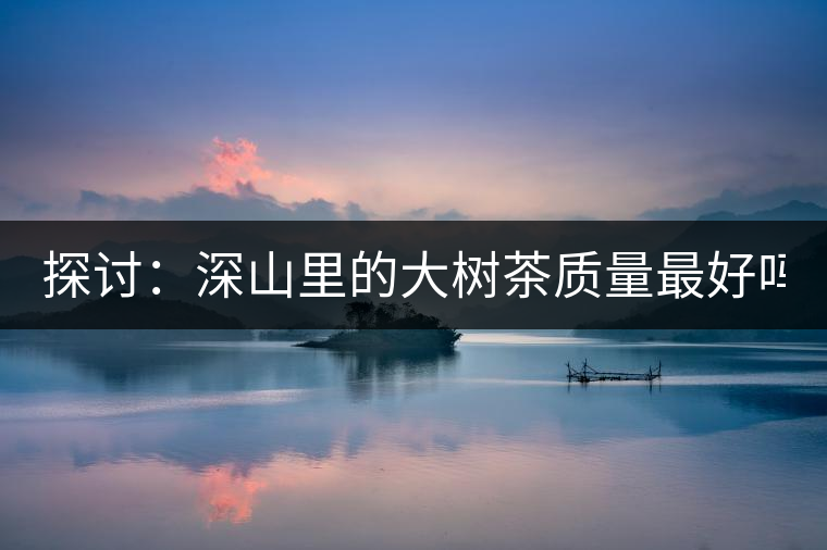 探討：深山里的大樹茶質(zhì)量最好嗎？