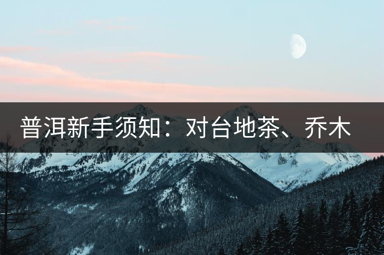 普洱新手須知：對(duì)臺(tái)地茶、喬木茶、古樹(shù)茶的簡(jiǎn)易理解