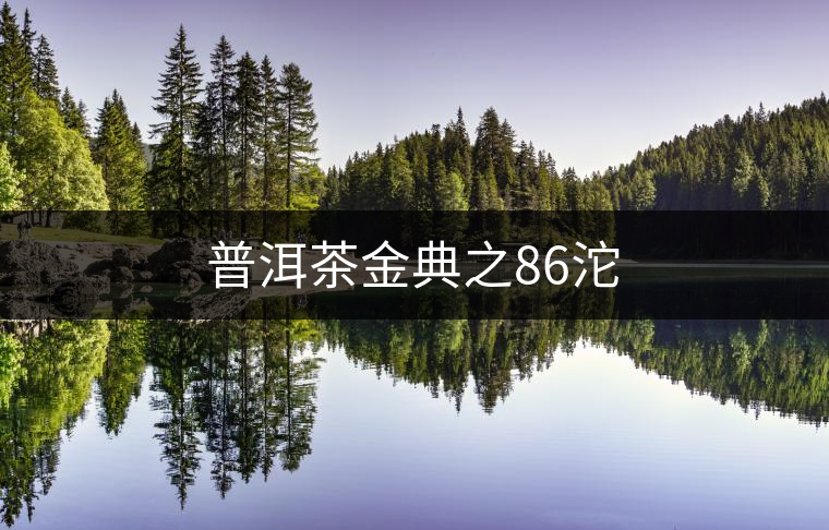 普洱茶金典之86沱