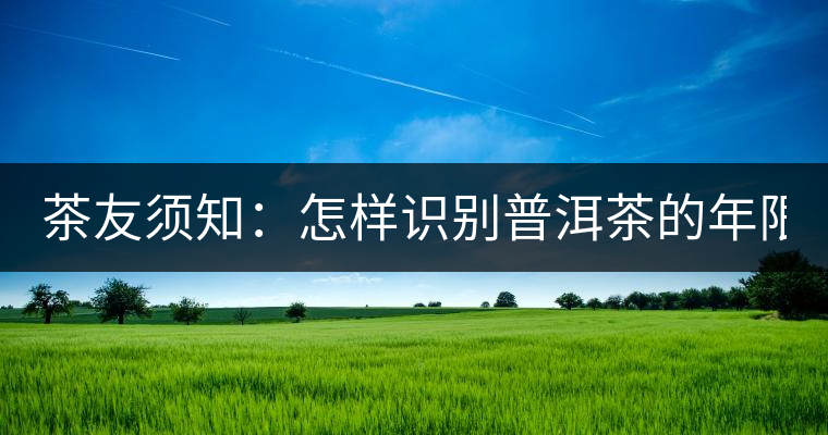 茶友須知：怎樣識(shí)別普洱茶的年限？