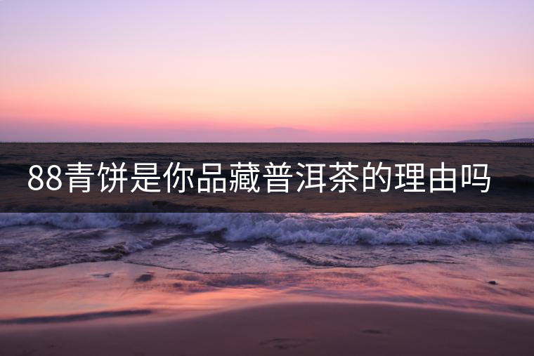 88青餅是你品藏普洱茶的理由嗎？