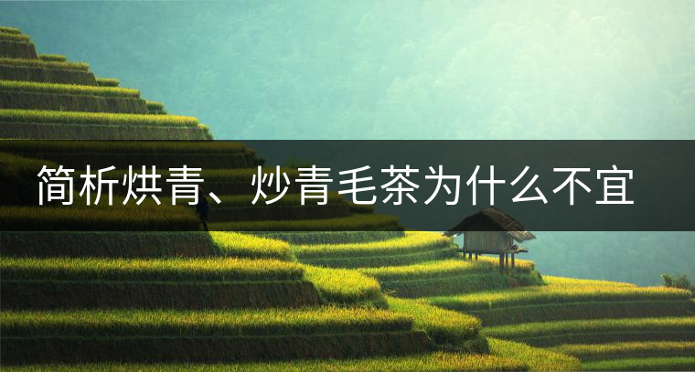 簡析烘青、炒青毛茶為什么不宜作為普洱茶的原料？
