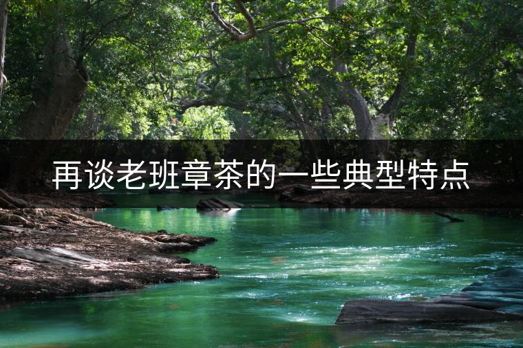 再談老班章茶的一些典型特點