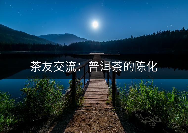 茶友交流：普洱茶的陳化