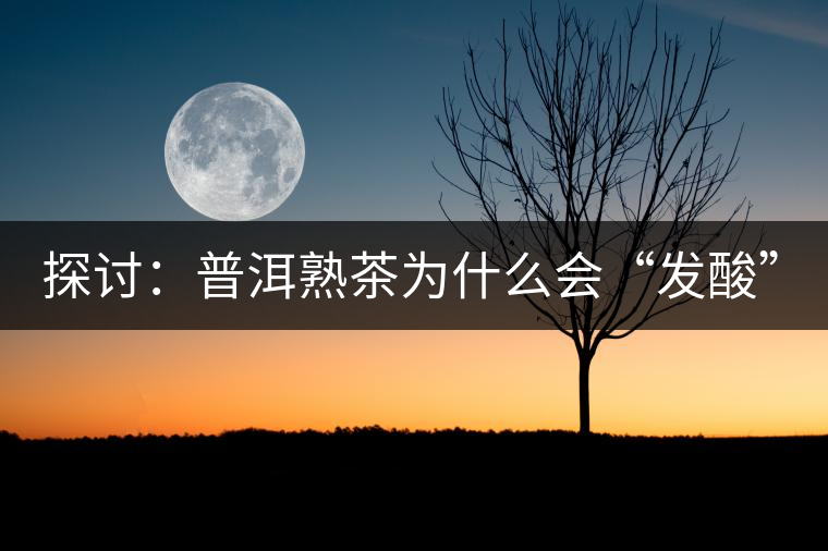 探討：普洱熟茶為什么會“發(fā)酸”？