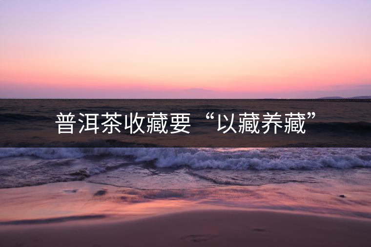 普洱茶收藏要“以藏養(yǎng)藏”