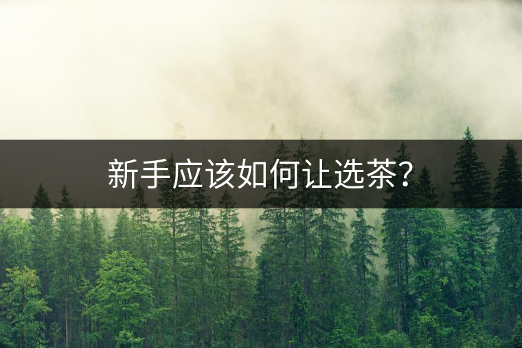 新手應(yīng)該如何讓選茶？