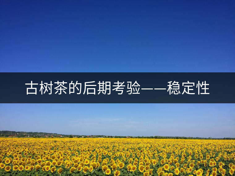 古樹(shù)茶的后期考驗(yàn)——穩(wěn)定性