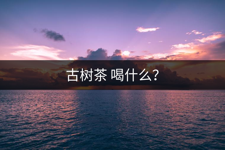 古樹茶 喝什么？