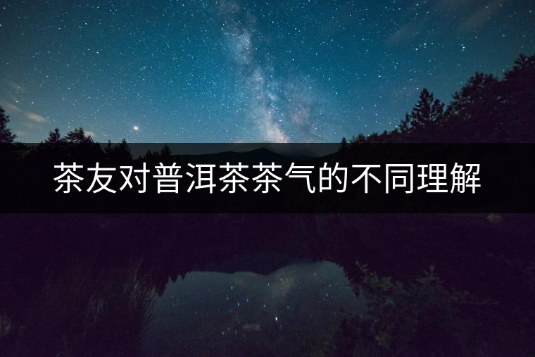茶友對普洱茶茶氣的不同理解