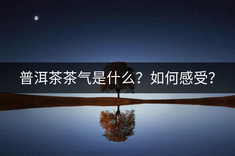 普洱茶茶氣是什么？如何感受？