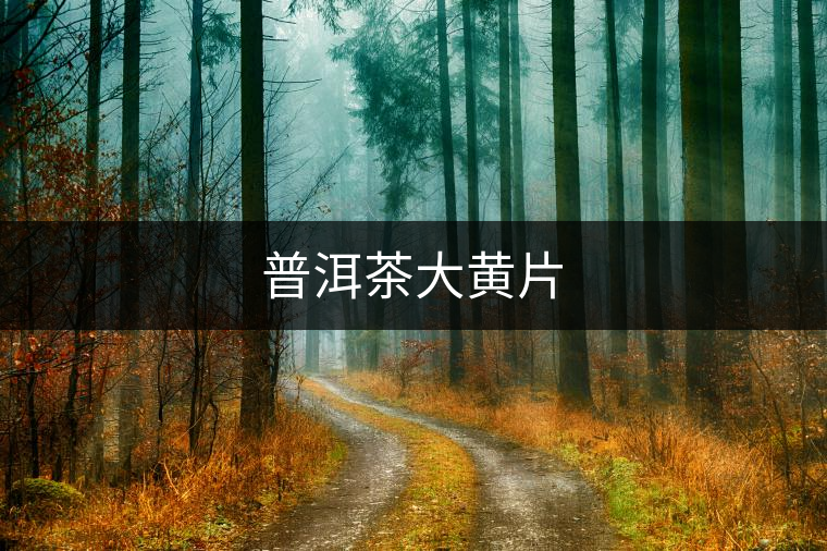 普洱茶大黃片 普洱茶大黃片
