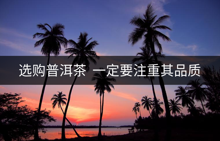 選購普洱茶  一定要注重其品質(zhì)