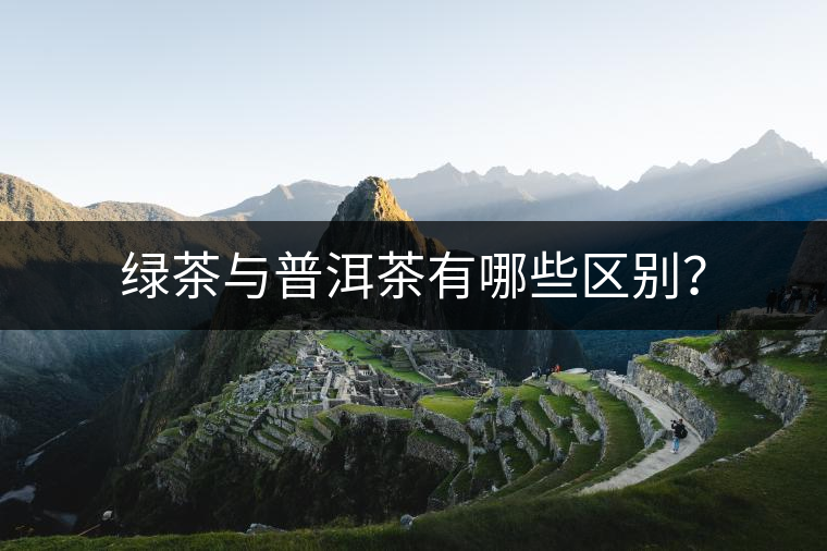 綠茶與普洱茶有哪些區(qū)別？