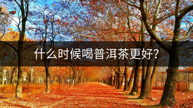 什么時候喝普洱茶更好？