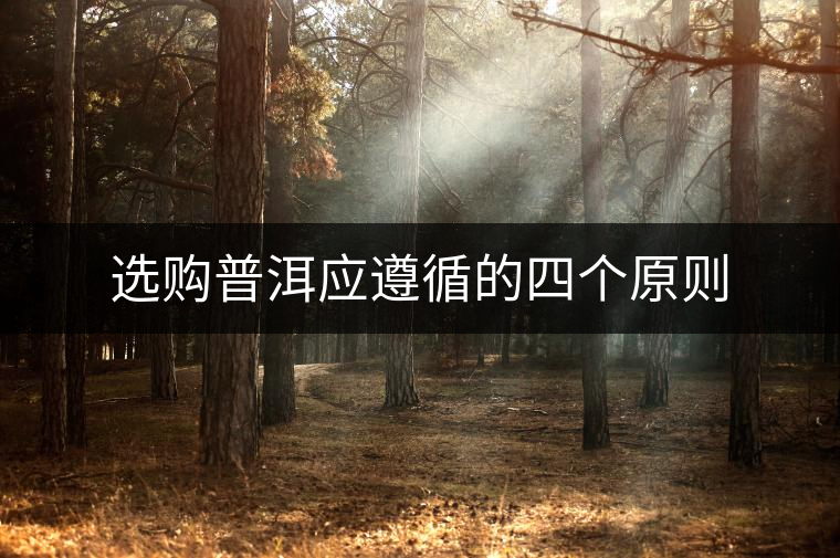 選購普洱應(yīng)遵循的四個(gè)原則