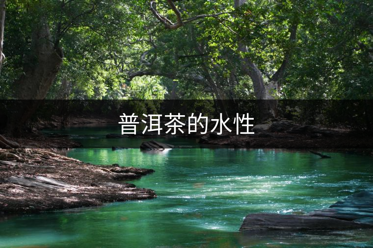 普洱茶的水性
