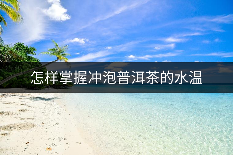 怎樣掌握沖泡普洱茶的水溫