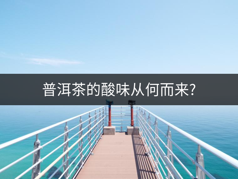普洱茶的酸味從何而來?