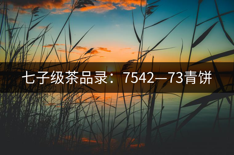 七子級(jí)茶品錄：7542—73青餅