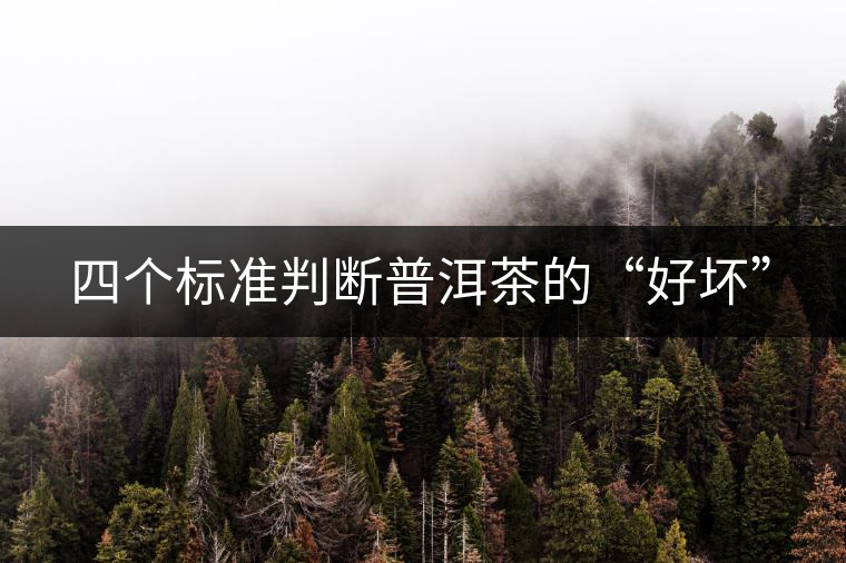 四個(gè)標(biāo)準(zhǔn)判斷普洱茶的“好壞”