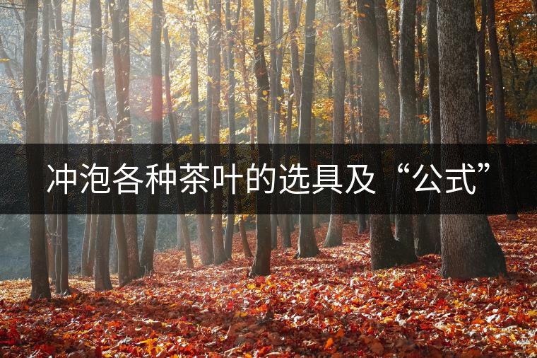 沖泡各種茶葉的選具及“公式”