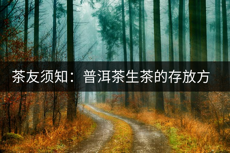 茶友須知：普洱茶生茶的存放方法