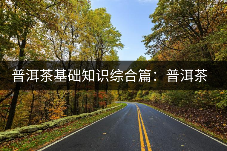 普洱茶基礎(chǔ)知識綜合篇：普洱茶的品飲賞玩