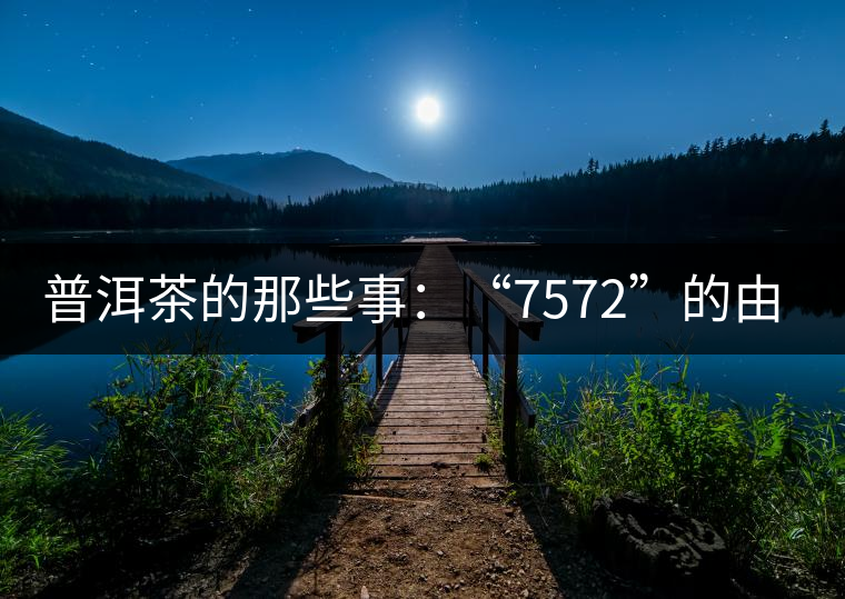 普洱茶的那些事：“7572”的由來