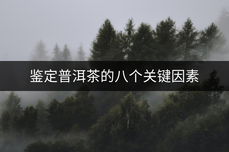 鑒定普洱茶的八個(gè)關(guān)鍵因素 鑒定普洱茶的八個(gè)關(guān)鍵因素