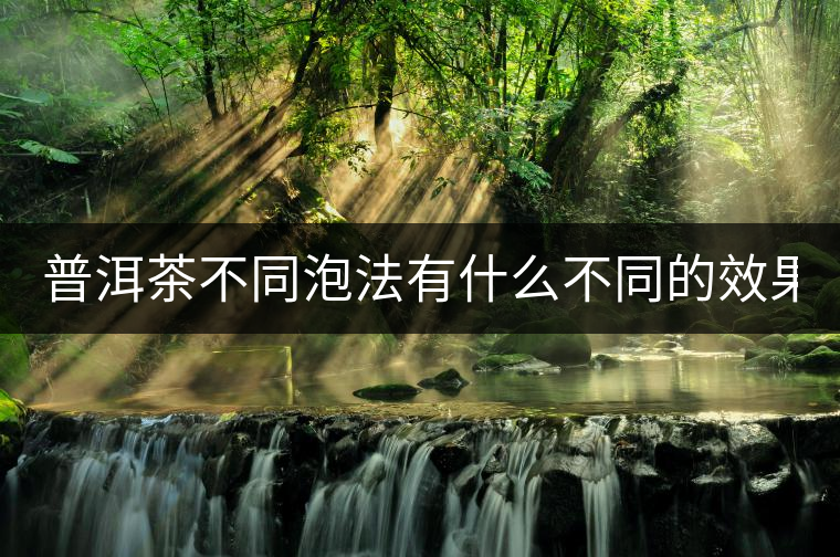 普洱茶不同泡法有什么不同的效果？