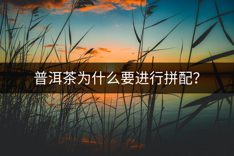 普洱茶為什么要進(jìn)行拼配？