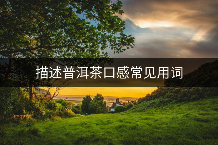 描述普洱茶口感常見(jiàn)用詞