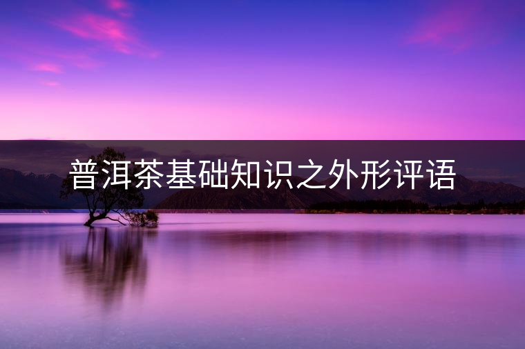 普洱茶基礎知識之外形評語 普洱茶基礎知識之外形評語