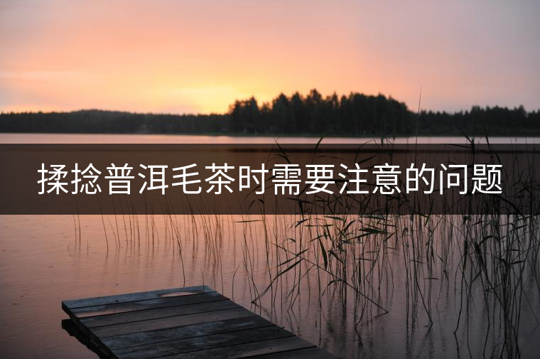 揉捻普洱毛茶時(shí)需要注意的問(wèn)題
