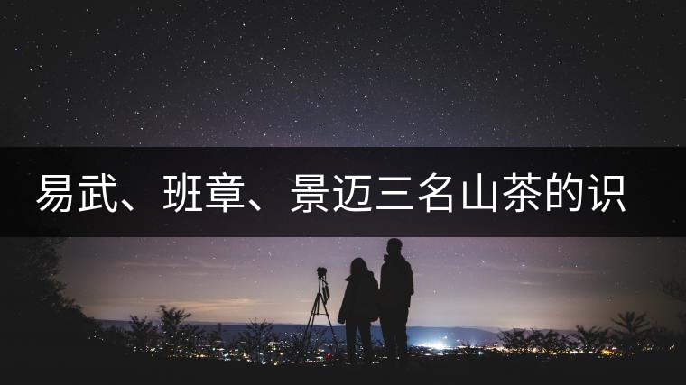 易武、班章、景邁三名山茶的識別