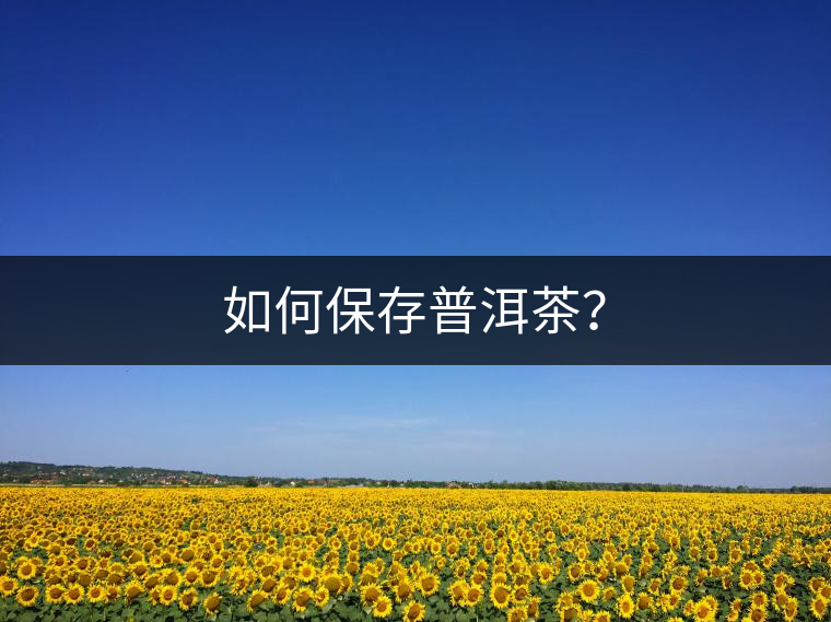 如何保存普洱茶？