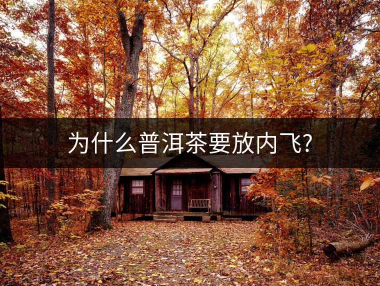 為什么普洱茶要放內(nèi)飛?